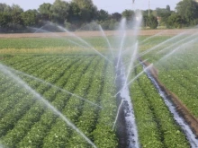 Запазва се цената на водата за напояване във Видинско за предстоящия поливен сезон