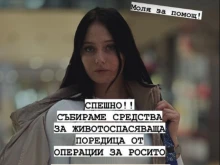 След тежката катастрофа: 24-годишна жена има нужда от помощ