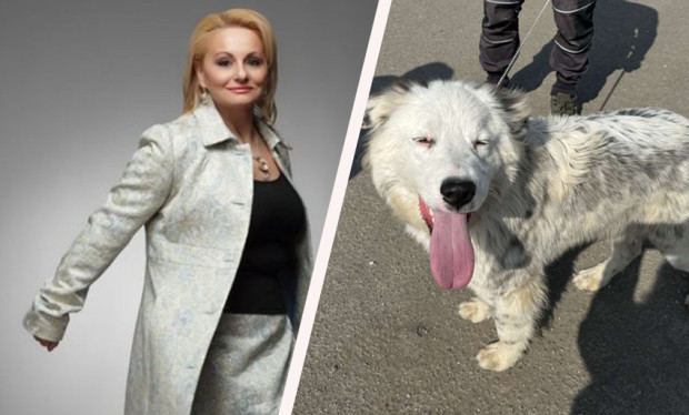 Тони Димитрова спаси куче изоставено на бургаските гробища Това сподели