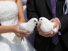 В Мюнхен готвят забрана на "сватбените гълъби"