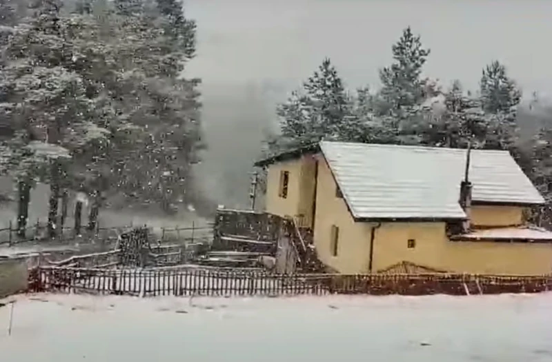 Обилен сняг вали на "Хижа Здравец" и "Копривките"