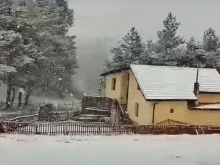 Обилен сняг вали на "Хижа Здравец" и "Копривките"