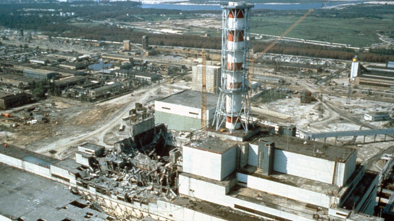 Радиацията в Чернобил не е повлияла на еволюцията на червеите в района