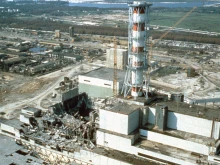 Радиацията в Чернобил не е повлияла на еволюцията на червеите в района