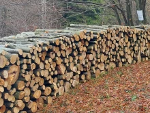 Над 100 кубика незаконна дървесина иззеха инспекторите от Централна България през февруари
