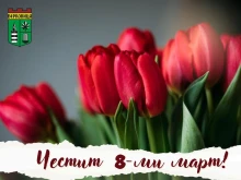 Кметът на Берковица с поздрав към жените за 8-ми март