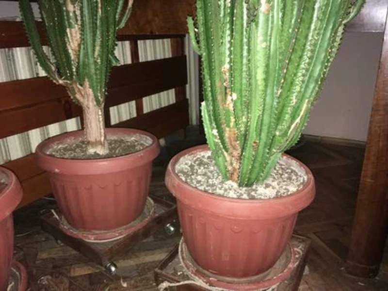 �� ������ �� ��� ������� � ������, �� � ����� ����