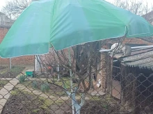 Човешката изобретателност няма граници