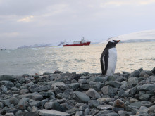 Природонаучният музей в Пловдив кани на вълнуващо пътешествие до Антарктида
