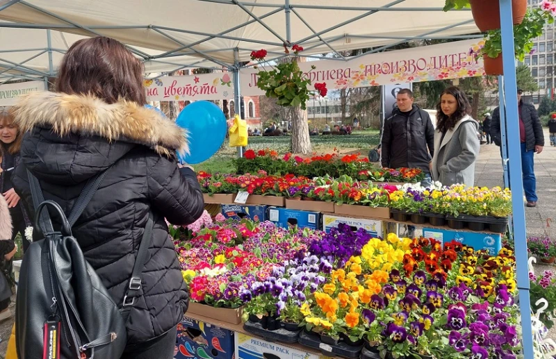 Кюстендил става цветен оазис за първа пролет  