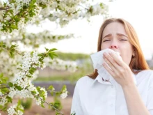 Ето защо страдаме от поленови алергии през пролетта