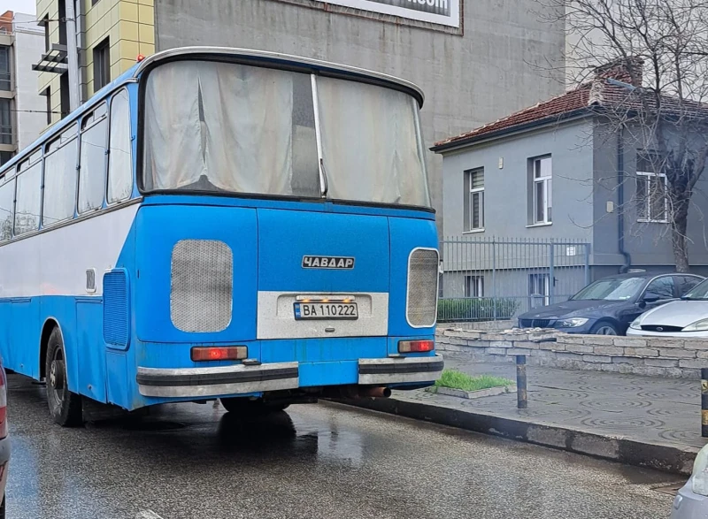 Попиляха пловдивчанин: И какво му е на чавдарчето?