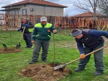 Служители на ОП "Чистота Благоевград" с добър пример за малчуганите: Засадиха дръвчета в двора на детската градина