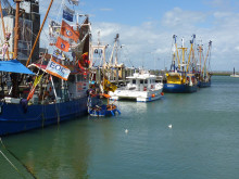 Стана ясна причината за проблема с рибарските пристанища във Варненско