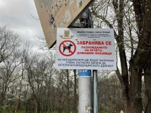Кметът на "Тракия" в Пловдив обясни за табелите, забраняващи разхождането на кучета в парк "Лаута"