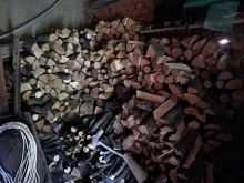 Община Ямбол приема заявления за дърва за огрев за лична употреба