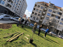 Малки и големи залесяват благотворително в столичния квартал "Дървеница"