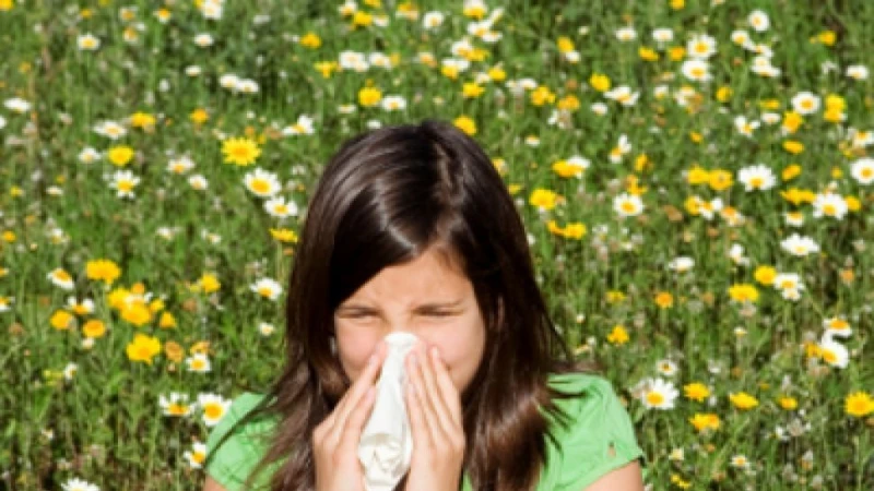 Тази седмица: Проблем за всички българи, които имат алергии