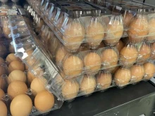 Украински и румънски яйца се продават като български: Търговците сменят датите на производство