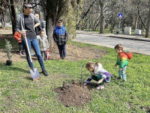 120 дръвчета бяха засадени в старозагорски парк по време на акция "Гората на хората"