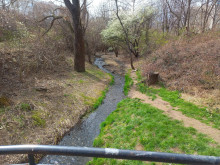 Добрата новина: Граждани почистиха парк "Сухото дере" и коритото на река Банишка