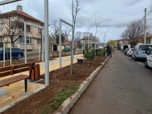 Започнаха първите кражби на цветя по новоозеленените улици в Сливен