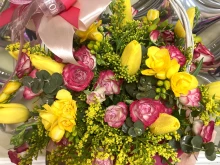 ���� ���: ��������� ���� ������, � �� �� ������� � ������ ��� �� ��������