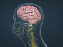 Ново изследване: Мозъкът може да компенсира познавателните и сетивни възможности