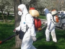 Започват годишните обработки срещу насекоми, кърлежи и гризачи на тревните площи в София