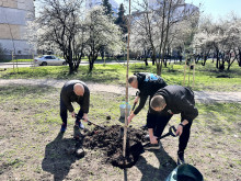 Кметът на столичния район "Надежда" Димитър Димов грабна лопатата