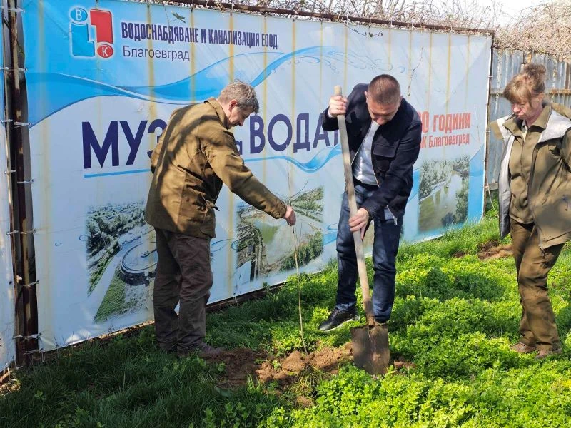 От Музея на водата започна засаждането на над 100 фиданки в Благоевград по повод Световния ден на водата