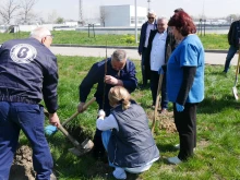 ВиК - Пловдив засади 240 дръвчета, акцията е в цялата страна