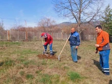 В Кюстендил засадиха дървета в името на опазване и поддържане на водните ресурси