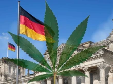 Официално: От 1 април марихуаната става легална в Германия