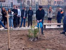 Ученици засадиха дръвчета във Варна за Световния ден на водата