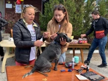 Ден на отворените врати в приюта за безстопанствени животни в Пловдив
