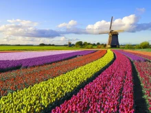 Най-големите нетни положителни потоци по преки инвестиции идват от Нидерландия