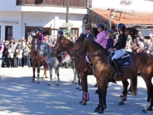 Чероки е най-гиздавият кон на Арбанаси