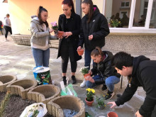 Екопатрули засадиха цветя пред русенско училище
