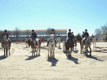 40 жокеи с над 60 коня участваха в състезанията за Тодоровден в Конна база при Тракийския университет