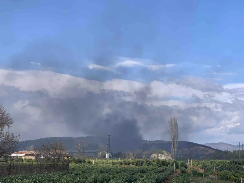 Два силни взрива са се чули край старозагорското село Калояновец