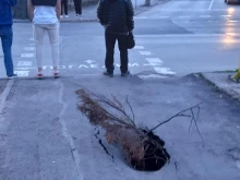 Огромна дупка зейна на оживено русенско кръстовище