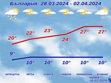 ������ ���� ���� ������ ���