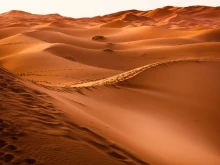 Внимание! Пустинен пясък достига до България