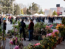 Панаирът отваря врати за най-пъстрата изложба 