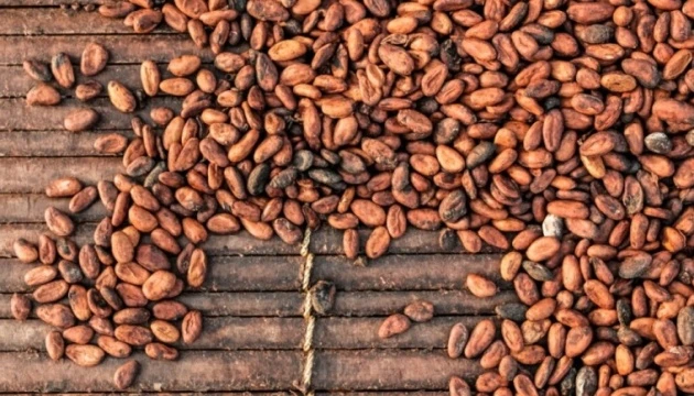 Цената на какаото за първи път надхвърли 9000 долара за тон