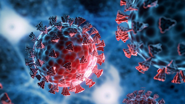 TD 12 са новите случаи на коронавирус у нас Направени са