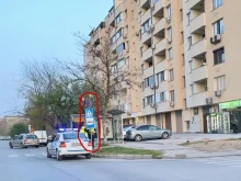 Живеещи в мегакомплекс в Пловдив си показаха магариите