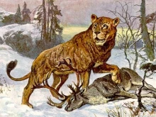 Археозоолог към НПМ-БАН: Преди 7000 години на днешните български земи са живели лъвове
