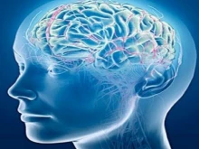 Изкуственият интелект може да разпознае дали мозъкът е на мъж или жена с точност до 90%